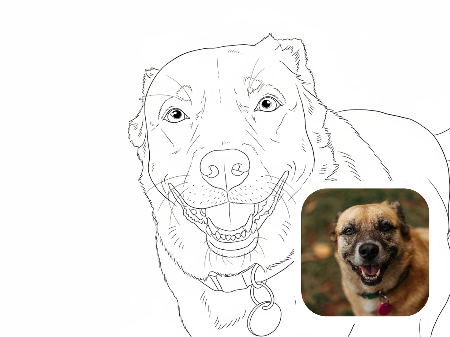 Dog photo converted into a clean pet line drawing before and after example